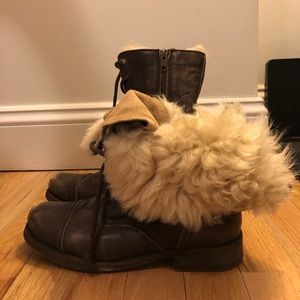 All Saints genuine leather and shearling boots